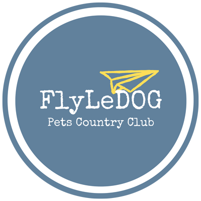logo FlyLeDog